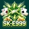 SK E999 Game